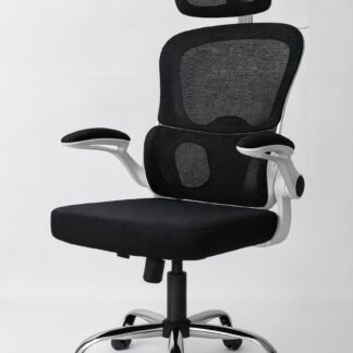 Cloud Ergonomic Mesh Office Chair