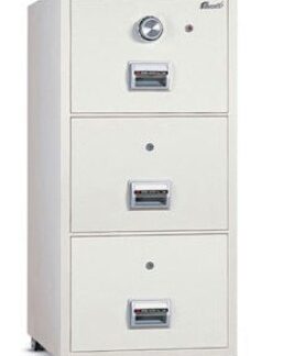 Fireproof Safes | FIRE RESISTANT FILING CABINET